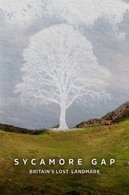 Sycamore Gap: Britain's Lost Landmark Sycamore Gap: Britain's Lost Landmark