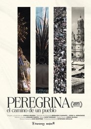 Pilgrim A people's journey (2025)