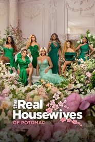 The Real Housewives of Potomac Mövsüm 9