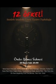 12 Kızgın) 12 Kızgın (2025)