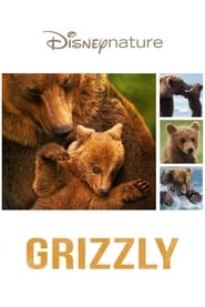 Grizzly film en streaming