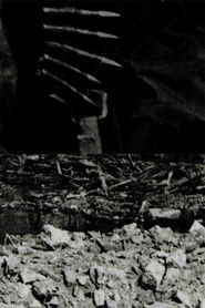 *uYP*[Mozi~HU] ? The Dawn of Day Videa Film [2020]- Teljes Film Magyarul Videa Online
