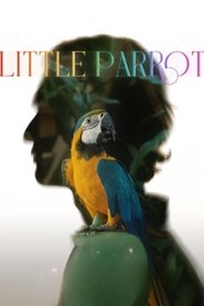 Little Parrot (2022)