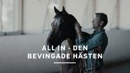 All In - den bevingade hästen