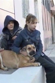 Одесские люки