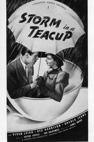 Storm in a Teacup постер
