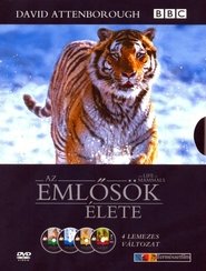 Az emlősök élete