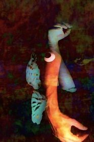 Poster Seaworld 2016