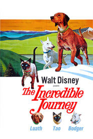 The Incredible Journey постер