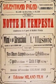 Poster Notte di tempesta