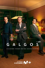 Galgos постер