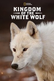 Poster Kingdom of the White Wolf 2019