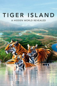 Tiger Island (2026)