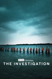 The Investigation poster
