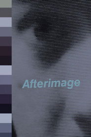 an experimental essay film