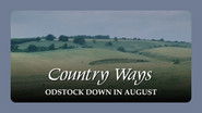 Odstock Down in August