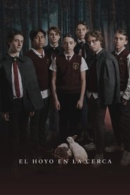 Poster El hoyo en la cerca