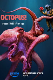 Octopus! poster