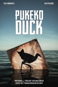 Poster Pukeko Duck 2024