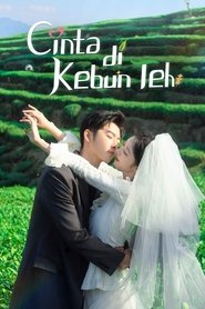 Cinta di Kebun Teh