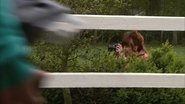 Paparazzi Chanel
