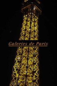 Galleries of Paris (2024)