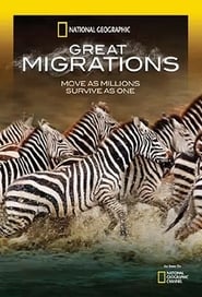 Великі міграції постер