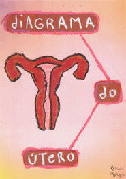 Diagrama do Útero