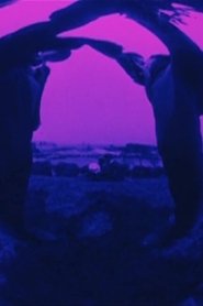 Poster for Looney Lens: Pas de deux