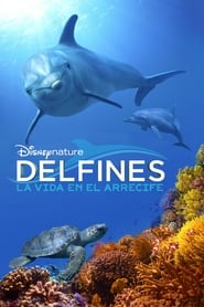 Delfines la vida en el arrecife