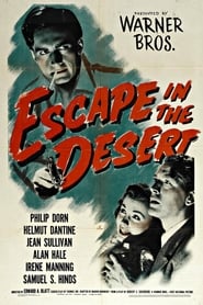 Escape in the Desert постер