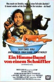 Poster Ein Himmelhund von einem Schnüffler