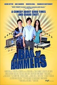 Voir A Bag of Hammers en streaming vf gratuit sur streamizseries.net site special Films streaming