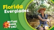 Florida Everglades