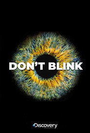 Don’t Blink poster
