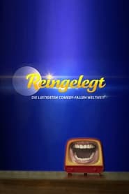 Reingelegt poster