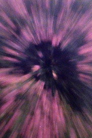 K (in the manner of a camellia)