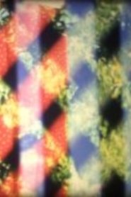 Poster weave 2012