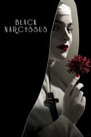 Black Narcissus постер