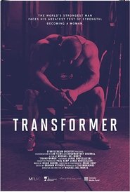 Transformer (2018)