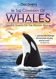 Poster In the Company of Whales