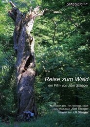 Poster Journey to the Forest 2007