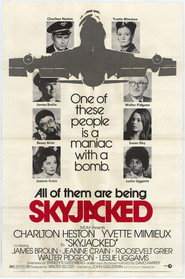Skyjacked постер