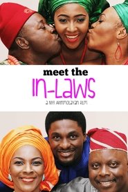 Poster Meet The in-Laws 2016