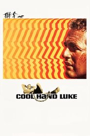 Cool Hand Luke HR 1967