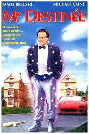 Monsieur Destinée (1990)