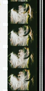 Poster Chrysalis 1973