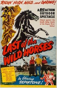 Last of the Wild Horses 1948 吹き替え 動画 フル