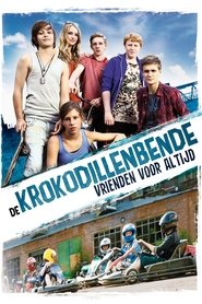 Vorstadtkrokodile 3 poster