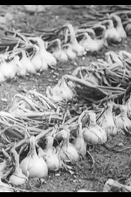 Poster The Life History of the Onion 1943